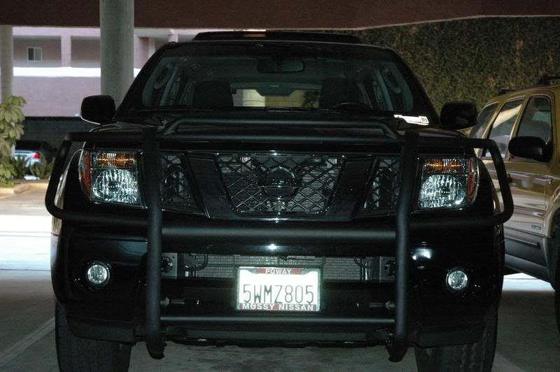 2006 Nissan pathfinder brush guard